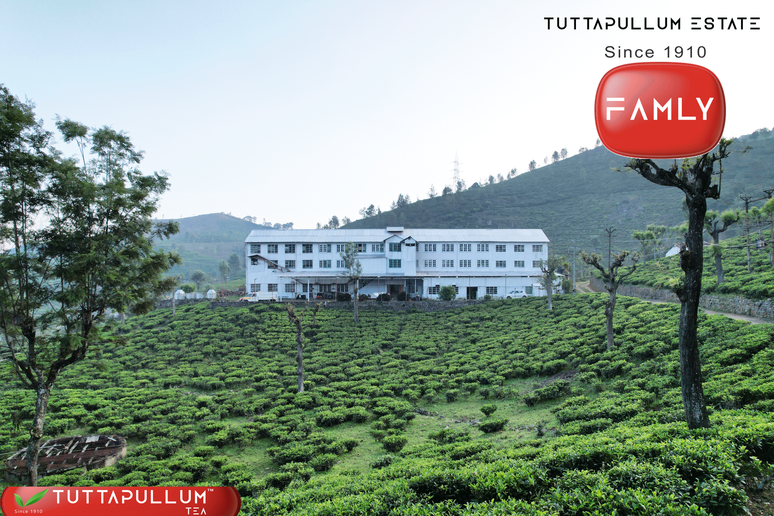 Tuttapullum Tea Factory