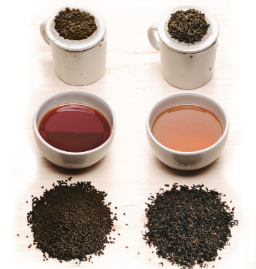 tea tasting