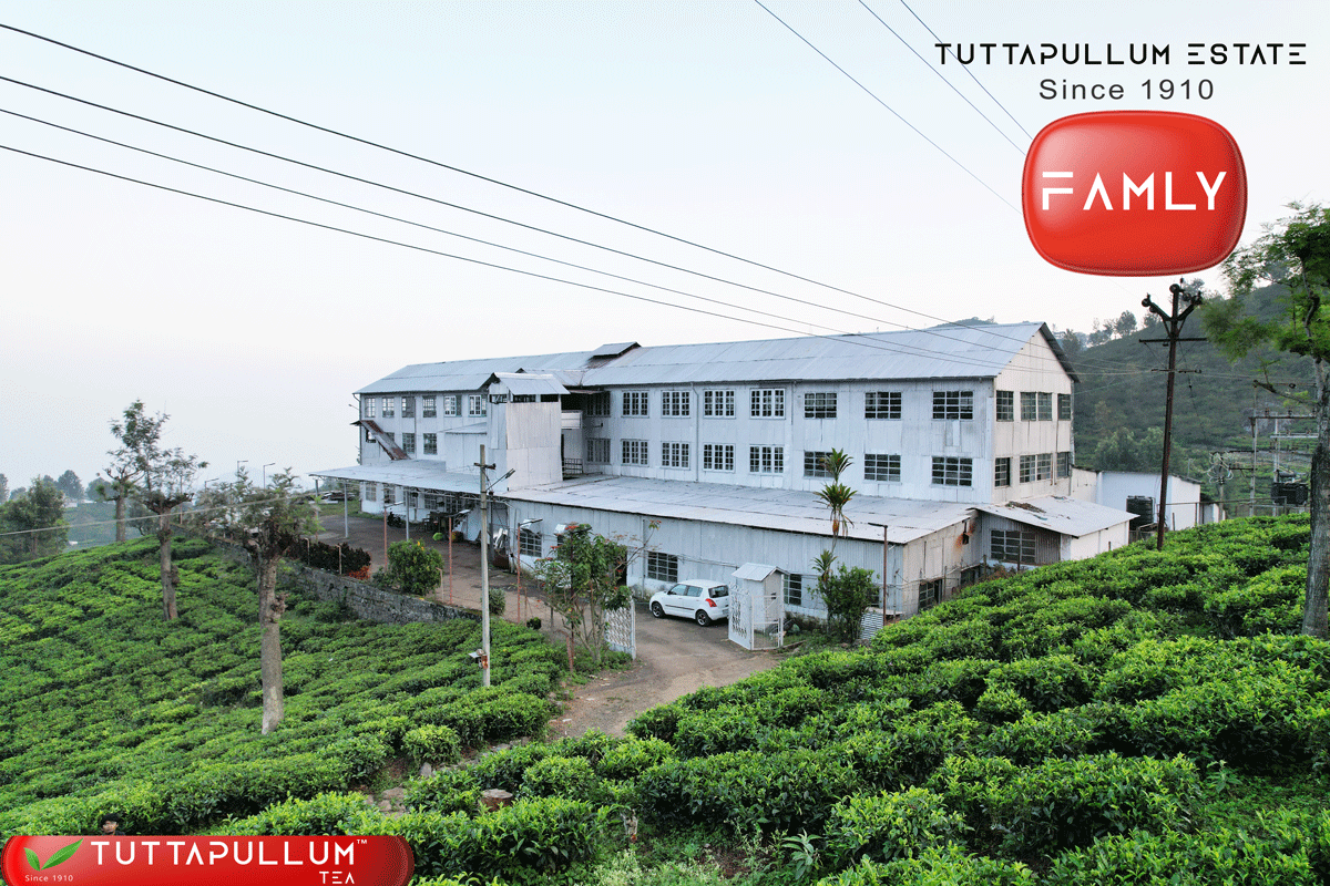 Tuttapullum_Tea_Banner1