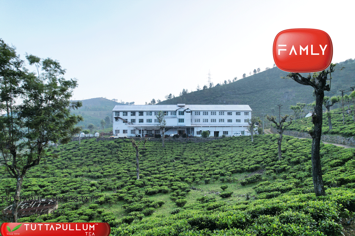 Tuttapullum_Tea_banner3